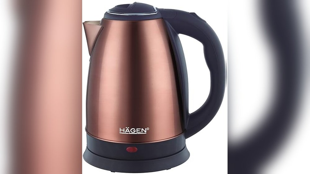 Best Electric Kettle Fast Boiling Stainless Steel 2026